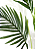 PLANTA PALMEIRA X12 120CM 129743 - Imagem 4