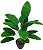 PLANTA HELICÔNIA VERDE X18 81CM S/ VASO 129486 - Imagem 1