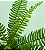 BUQUE SAMAMBAIA COMPRIDA LUXO 90CM X15 129918 - Imagem 3