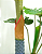 PLANTA COSTELA DE ADAO ARTIFICIAL 110CM 19 FOLHAS 129917 - Imagem 2
