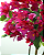 ARVORE BOUGAINVILLE 140CM C/ POTE BASE 129916 - Imagem 2