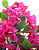 ARVORE BOUGAINVILLE 140CM C/ POTE BASE 129916 - Imagem 3