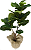 PLANTA ARTIFICIAL FICUS LYRATA 90CM S/ POTE 129911 - Imagem 1
