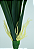 FOLHA DE ORQUIDEA CYMBIDIUM SILICONE 32CM 130043 - Imagem 2