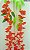 PENDENTE FLOR DE GLICINA X3 110CM 129937 - Imagem 2