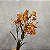 HASTE GALHO FLOR DO CAMPO LARANJA 75CM 129982 - Imagem 2