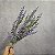 HASTE GALHO LAVANDA 41CM 129980 - Imagem 1