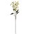 HASTE GALHO FLOR DO CAMPO BRANCO 75CM 129981 - Imagem 1