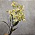 HASTE GALHO FLOR DO CAMPO BRANCO 75CM 129981 - Imagem 2