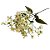HASTE GALHO FLOR DO CAMPO BRANCO 75CM 129981 - Imagem 3