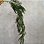 PLANTA PENDENTE FOLHA DE ASPARGO 75CM 129058 - Imagem 1