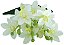 BUQUE ORQUIDEA ARTIFICIAL CYMBIDIUM BRANCA 3D X5 50CM 130008 - Imagem 2