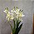 BUQUE ORQUIDEA ARTIFICIAL CYMBIDIUM BRANCA 3D X5 50CM 130008 - Imagem 1