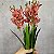 BUQUE ORQUIDEA ARTIFICIAL CYMBIDIUM 3D X5 50CM 130004 - RO - Rosa Outonado - Imagem 1