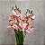 BUQUE ORQUIDEA ARTIFICIAL CYMBIDIUM ROSA CLARO 3D X5 50CM 130006 - Imagem 1