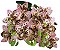 BUQUE ORQUIDEA ARTIFICIAL CYMBIDIUM 3D X5 50CM 130005 - Imagem 1