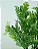 BUQUE PLANTA ARTIFICIAL VERDINHO 28CM 129711 - Imagem 3