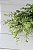 BUQUE PLANTA ARTIFICIAL EUCALIPTO 34CM 13267 - Imagem 2
