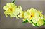 HASTE DE PESSEGUEIRA AMARELO 125CM 9964A - Imagem 1