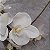 ORQUIDEA SILICONE X9 PREMIUM BRANCA 78CM 130483 - Imagem 2
