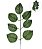 HASTE FOLHA ROSEIRA X7 C12 VERDE 45CM 130515 - Imagem 1