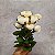 BUQUE CAMELIA CREME 130734 - Imagem 1