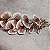 HASTE ORQUIDEA 3D GRANDE X9 - BRANCO C/ VINHO - Imagem 1