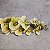 HASTE ORQUIDEA 3D GRANDE X9 - VERDE AGUA - Imagem 1