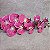 HASTE ORQUIDEA 3D GRANDE X9 - ROSA PRINT - Imagem 1