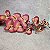 HASTE ORQUIDEA 3D GRANDE X9 - ROSA C/MARSALA - Imagem 1