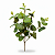 BUQUÊ MINI EUCALIPTO VERDE 36CM 130732 - Imagem 1