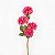 GALHO ALLIUM CRISANTEMO X4 PINK 50CM 131202 - Imagem 2