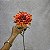 Galho Dalia Outonada 65CM- Laranja - Imagem 1