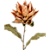 HASTE PROTEA DESIDRATADA 57CM -LARANJA 131347 - Imagem 2