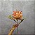 HASTE PROTEA DESIDRATADA 57CM -LARANJA 131347 - Imagem 3