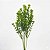 BUQUE FOLHAS DE ERICA X5 34CM VERDE 131451 - Imagem 1