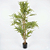 ARVORE PLANTA BAMBOO TOQUE REAL C/POTE X1800 VERDE 1,50CM- 131617 - Imagem 1