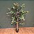 ARVORE PLANTA FICUS VERDE X420 C/POTE 120CM -131627 - Imagem 2