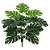 COSTELA DE ADAO REAL TOQUE X18 VERDE 60CM-131799 - Imagem 1