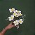 BUQUE DE FLOR AMEIXA X10 35CM 132044 - Imagem 2