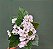 MINI BUQUE DE FLORZINHA X5 30CM - Imagem 9