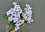 MINI BUQUE DE FLORZINHA X5 30CM - Imagem 10