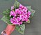 MINI BUQUE DE FLORZINHA X5 30CM - Imagem 7