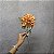 HASTE DE GERBERA ARANHA LARANJA 50CM-132146 - Imagem 2