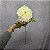 HASTE GERBERA AGULHA CREME 70CM-132120 - Imagem 2