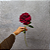 HASTE ROSA AVELUDADO MARSALA 65CM - Imagem 2