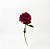 HASTE ROSA AVELUDADO MARSALA 65CM - Imagem 1
