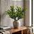 BUQUE DE FOLHAS X5 CAPIM 35CM-132114 - Imagem 1