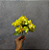 MINI BUQUE CHERRY BLOSSOM X35 AMARELO 35CM - Imagem 2