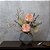 HASTE DE PEONIA ROSA 63CM 132070 - Imagem 1